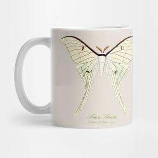 Butterfly - Actias Artemis, Actias Astarte Mug